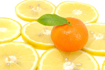 Tangerine with Green Leaf on Lemon Slices