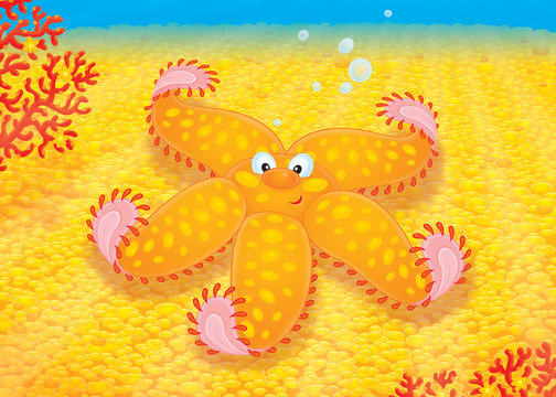Starfish at the bottom of the sea