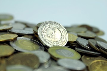 Polish coins with one zloty currency