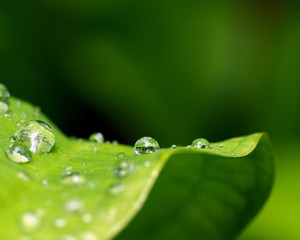 Waterdrops