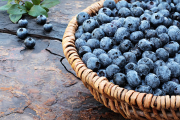 Fresh Blueberries