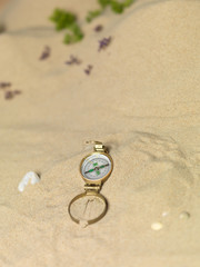 Fototapeta na wymiar golden compass in sand, miniature landscape