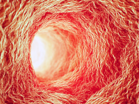 Inside a blood vessel