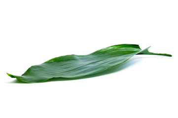long leaf
