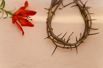 Crown of Thorns and orange Lily