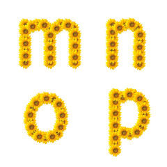 sunflower alphabet isolated on white background