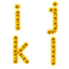 sunflower alphabet isolated on white background