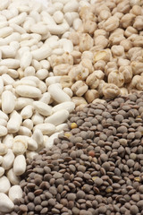 legumes