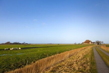 Nordfriesland Landschaft