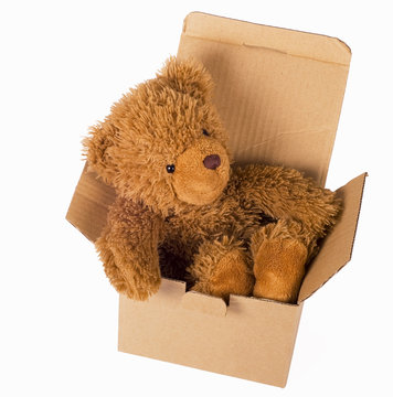 Toy Bear Cub Sits In Box On A White Background