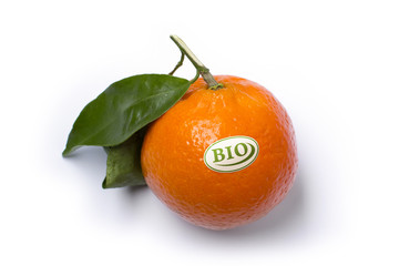Bio Obst - Clementine
