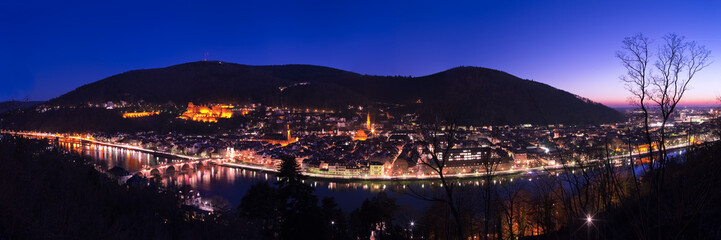 Heidelberg Panorama