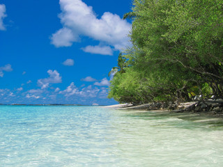 Tropical beach. Maldives