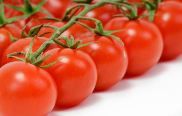 branch of the tomato