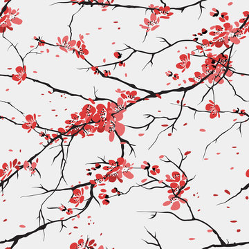 Cherry Or Sakura Seamless Pattern Background