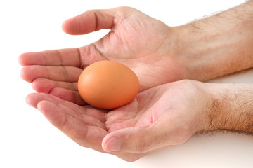 egg in hands of man