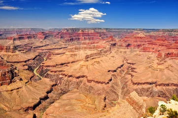 Photo sur Plexiglas Canyon Paysage vif de jour clair du Grand canyon