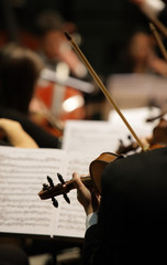 Violinist