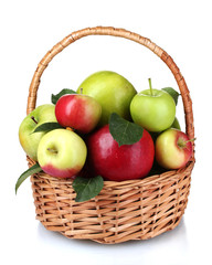 Basket of fresh ripe apples isolated on white