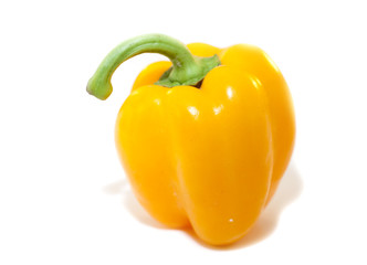 poivron jaune