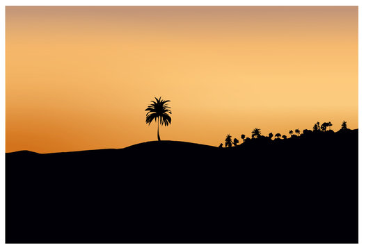 dark silhouette of sand and trees at sunset