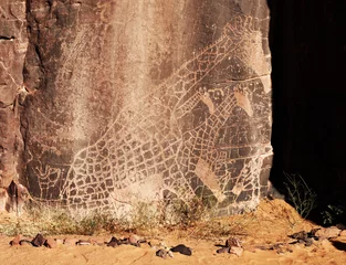 Keuken spatwand met foto Rock engraving in Sahara Desert, Algeria © Dmitry Pichugin