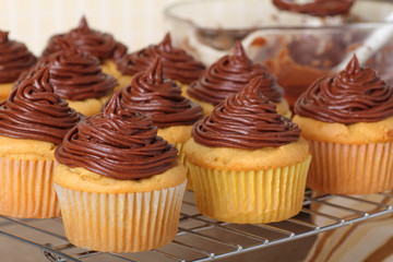 Chocolate Frosted Cupcakes