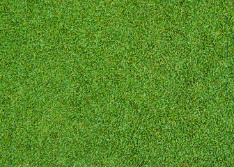 green grass pattern