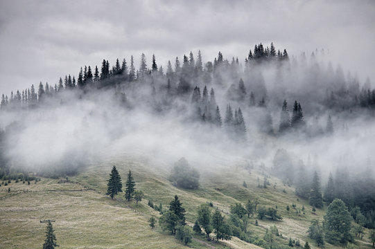 Fototapeta Foggy morning