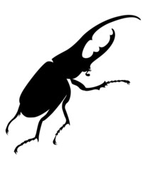 bug silhouette on white background