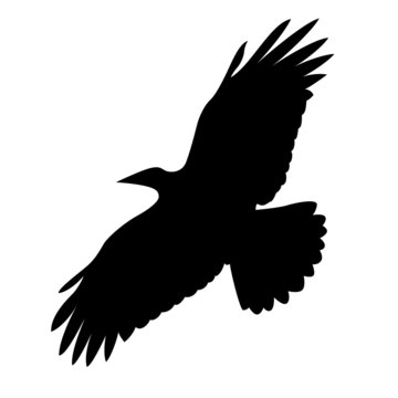 recommend clip art: flying bird on white background
