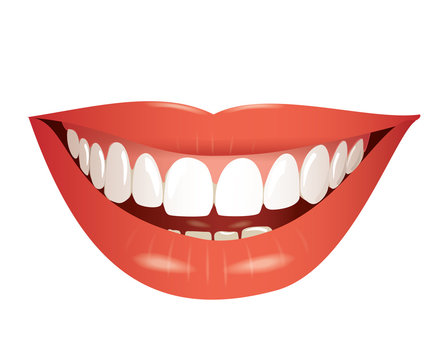 smiling mouth isolated photo-realistic vector
