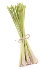 Zitronengras