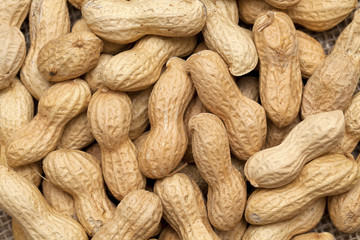 Fototapeta premium peanut background