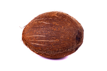 coconut on white