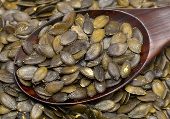 pumpkin seed in a wooden spoon