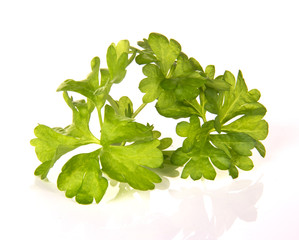 Parsley, isolated on white background