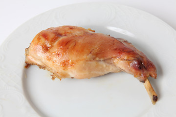 conejo