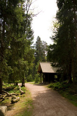 Wanderweg im Schwarzwald