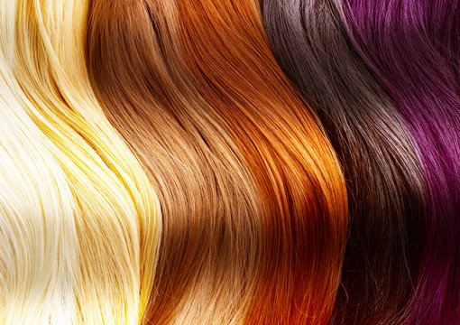 Fototapeta Hair Colors Palette