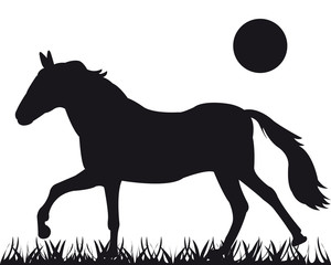 Vector silhouette of the horse