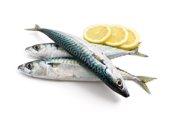 tre sgombri con limone - three mackerel with lemon