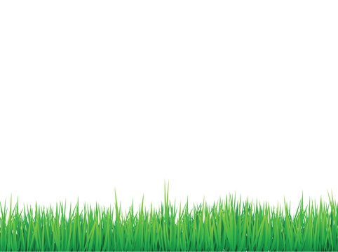 grass borders background