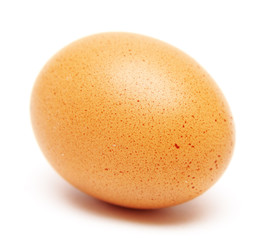 Egg