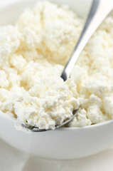 Cottage cheese close-up