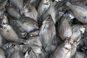 Fresh fish