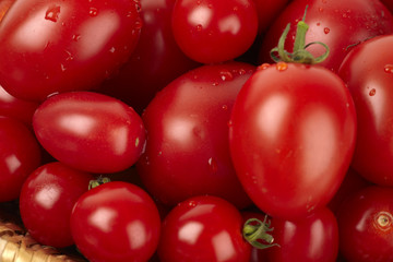 Viele frische rote Tomaten mit Wassertropfen