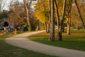 Obraz premium Automne