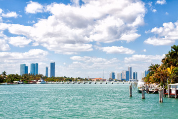 Miami Skyline