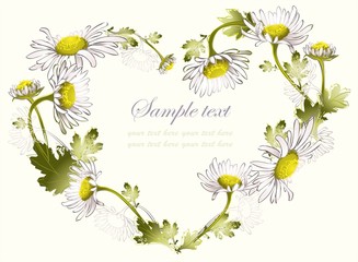 Decorative heart. Illustration camomile.